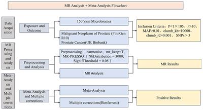 Causal relationship between 150 skin microbiomes and prostate cancer: insights from bidirectional mendelian randomization and meta-analysis